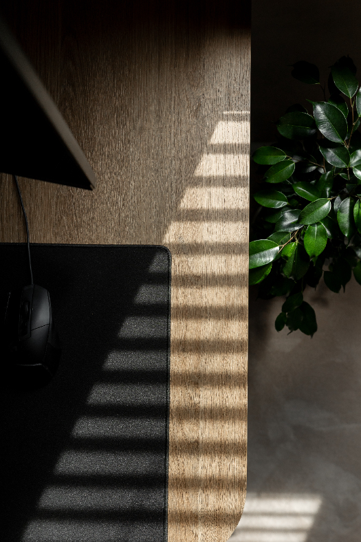 A Play of Light and Lines - interior design photo